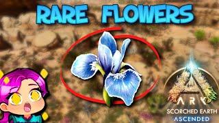 HOW TO FIND RARE FLOWERS - SCORCHED EARTH - Ark Survival Ascended