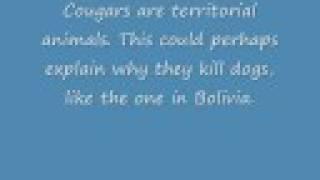Monster Quest Analysis: Vampire Beast