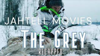 Plane Crashes wolf hunts survivors in blizzard (The Grey-Movie Recap)-JahTell Movies