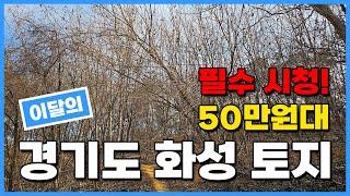 !필수 시청! 이달의 50만원대 경기도 화성시 토지! 역과 호수공원이 생기는 땅급매! 010-2308-4287