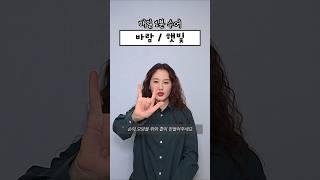 매일1분수어 l 바람/햇빛