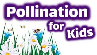 Pollination for Kids