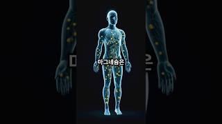 피로와 불면증에 좋은 마그네슘 | 스트레스 해소와 수면 개선 비법