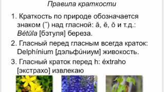 Правила постановки ударения