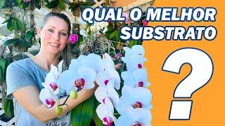 Os 6 Melhores Substratos para Orquídeas