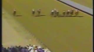 1991 All American Futurity Royal Quick Dash