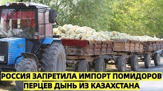 Россия запретила импорт помидоров, перцев, дынь и других продуктов из Казахстана