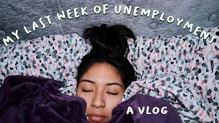 my last week of unemployment | a VLOG