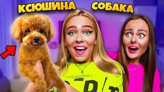 МЫ КУПИЛИ СЕСТРЕ СОБАКУ на 5 000 000 Подписчиков ! *Трогательно*