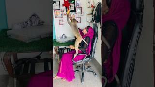 Chiknu funny video  #monkeyvideosforkids #monkey #funnyclip