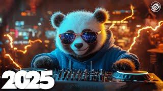 Best Music Mix 2025  EDM Mix of Popular Songs 2025  EDM Bass Boosted Music Mix 2025