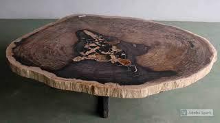 Large Petrified Wood Slab Coffee Table