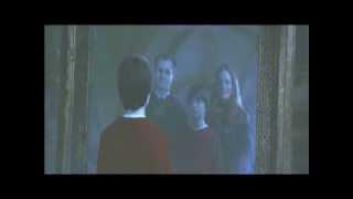 All Lily & James Potter Scenes Movies 1-8