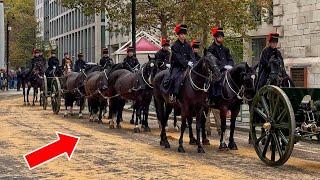 RARE SIGHTING: ROYAL HORSE ARTILLERY TAKES OVER CENTRAL LONDON STREETS!