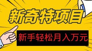 2022网赚，新手网上赚钱！新手轻松这样赚钱，一个月竟然能做到万元收入