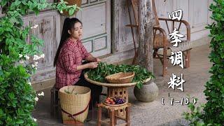 Unique Spice Gardens of the Village | Spices of Four Seasons 【滇西小哥】