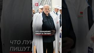 Что Лукашенко пишут в TikTok? #лукашенко #новости #политика #беларусь #батька