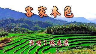 [客家歌曲] 客家本色 - 林展逸 HD Hakka Song