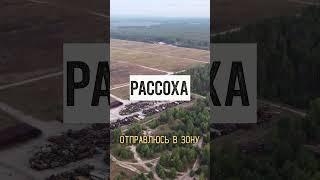 Рассоха — куда исчезли тысячи заражённых машин?