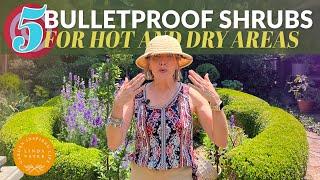 5 Shrubs for HOT & DRY Areas