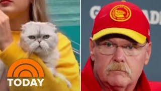 Taylor Swift fan suggests Chiefs' Andy Reid oddly looks like her cat