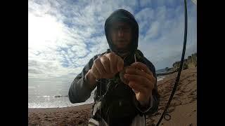 Fishing with Shrimp at Shell Beach, Pismo, CA