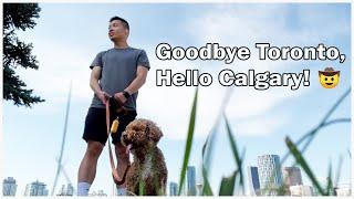 Moving Back to Calgary from Toronto 2024 - VLOG | Provincial Relocation in Canada