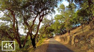 Countryside Portugal: Galegos - Trail of the Coffee Smuggling, 4K ASMR Trilho do Contrabando do Café