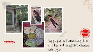 Aaj papa ne banai aaisi sabji ki sab ungliya chatate rah gaye #all_in_one_radhika #radhikareal #vlog