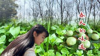 冬去春来，采一蓝子野菜，做一桌子野味，尝一尝春天的味道。