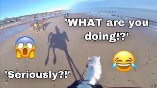 What Equestrians Say Whilst Riding! // GOPRO
