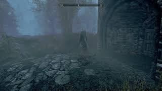 So THIS Is What Happen If You Try To Force Through The Riften Gate 