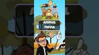  Animal Trivia  For Kids | #brainbreak #trivia #education #learning  #classroom