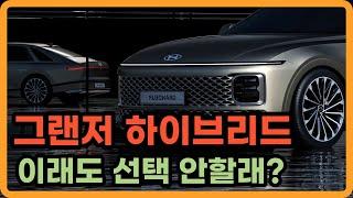 당신이 디올뉴 신형 그랜저를 하이브리드로 사야하는 이유, 제발 하이브리드로 사세요.