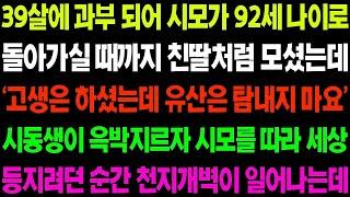 실화사연 39살에 과부 되어 시모가 92세 나이로 돌아가실 때까지 친딸처럼 모셨는데 다른 자식들이 유산을 모두 차지하는데    사이다 사연,  감동사연, 톡톡사연