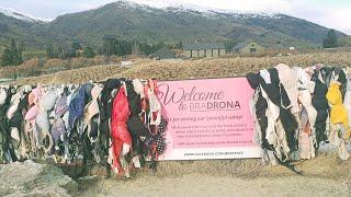 Bradrona at Cardrona Bra Fence,Central Otago New Zealand