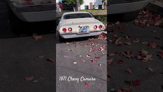 1971 camaro #chevy #shorts #youtubeshorts #camaro