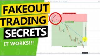 Never run into a FAKEOUT again! How to master fakeout trading