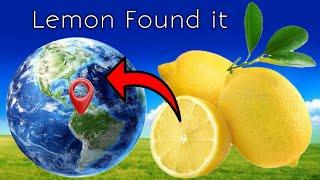 Found On Biggest Lemon  Real Life In Google Earth