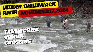 Exploring Tamihi Creek & Vedder Crossing | Vedder / Chilliwack River | November 2024