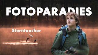 Fotoparadies Schweden | Naturfotografie mit Luca Lorenz