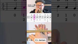 How to play C Major Scale flawlessly on beginner level!