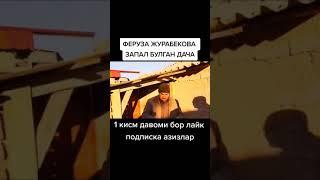 Феруза Ж . Депутат Запал болган дача