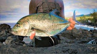 Carangue Bleue au leurre du bord, La Réunion