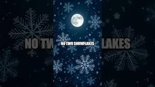 The Astonishing Journey of a Snowflake