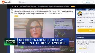 Reddit traders follow playbook from 'Queen' Cathie Wood