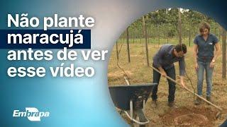 Como plantar maracujá #Embrapa