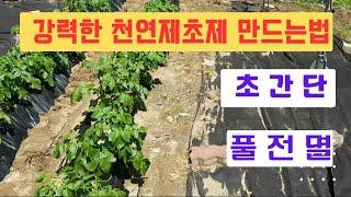 3배식초보다 강력한 천연제초제 ... 안죽는 풀이 없어요  (간단히 만듦) #빙초산 제초제  #친환경 제초제