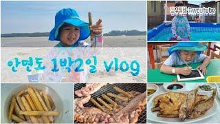 [태안여행] 여행vlog | 안면도 1박2일 맛조개 잡기, 태안 맛집 찾기, 펜션 수영장 즐기기, 쥬라기 공룡박물관| 정우튜브