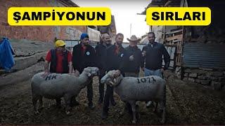 ŞAMPİYON Ailenin Sırları Açığa Çıkıyor!